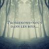 Promenons-nous dans les bois