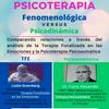 Psicoterapia Fenomenológica Y Psicodinámica