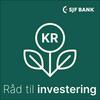 Råd til investering