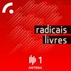 Radicais Livres (1ª Série)