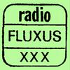 Radio Fluxus: Stories from the Fluxus Archives