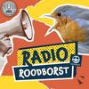 Radio Roodborst