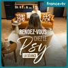 Rendez-vous chez le psy - La séance