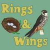 Rings &amp; Wings