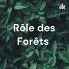 Rôle des Forêts