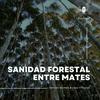 Sanidad Forestal entre Mates