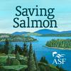 Saving Salmon