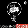 ScuolaNonScuola Podcast- incontri con Pier Giorgio Caselli