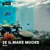 Se il mare muore