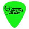 Sebastián Salinas Guitarra