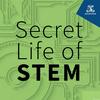 Secret Life of STEM