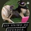 Sin Ánimo De Ofender (SADO PODCAST).