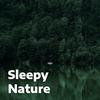 Sleepy Nature – Relaxing Nature Sounds for Sleep & Babies