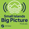 Small Islands Big Picture