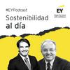 Sostenibilidad al día, con EY