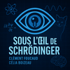 Sous l'Oeil de Schrödinger