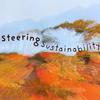 Steering Sustainability