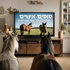 סוסים איטיים - שלום סיונוב וציפי שמילוביץ