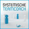 Systemische Teamcoach