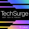 TechSurge: Deep Tech Podcast