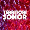 Territori sonor