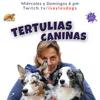 Tertulias Caninas / IsaylosDogs