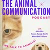 The Animal Communication Podcast