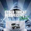 The Cyber Threat Perspective