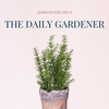 The Daily Gardener