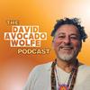 The David Avocado Wolfe Podcast