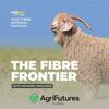 The Fibre Frontier