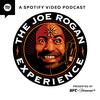 The Joe Rogan Experience