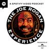 The Joe Rogan Experience