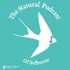 The Natural Podcast of Selborne