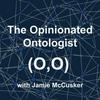 The Opinionated Ontologist