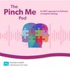 The Pinch Me Pod - an MDT approach to delirium in hospital settings