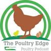 The Poultry Edge