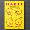 The Power of Habit in English