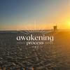 Awakening Process 101