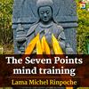 The Seven Points mind training: Lojong  with Lama Michel