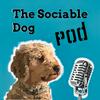 The Sociable Dog Podcast