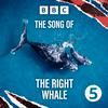 The Song of the Right Whale
