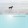 The Untethered Soul: The Journey Beyond Yourself by Michael A. Singer, Book Summary, Podcast