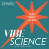 THE VIBE SCIENCE PODCAST