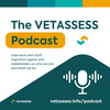 The VETASSESS podcast