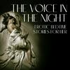 The Voice In The Night: Erotic Bedtime Stories For Her