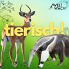 tierisch! – Zwei Forscherinnen und die wilde Welt der Tiere.
