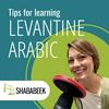 Tips for Learning Levantine Arabic