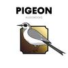 Pigeon Audiobooks: Top 100 Best-Selling