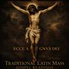 Traditional Latin Mass Gospel Readings